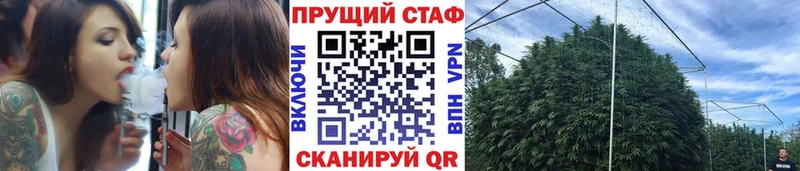 Наркотические вещества Жуков Конопля МЕФ Вейп ТГК Галлюциногенные грибы СК ГАШИШ Амфетамин
