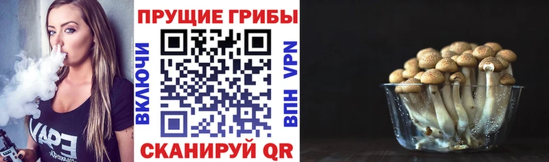 Галлюциногенные грибы мухоморы  Жуков 